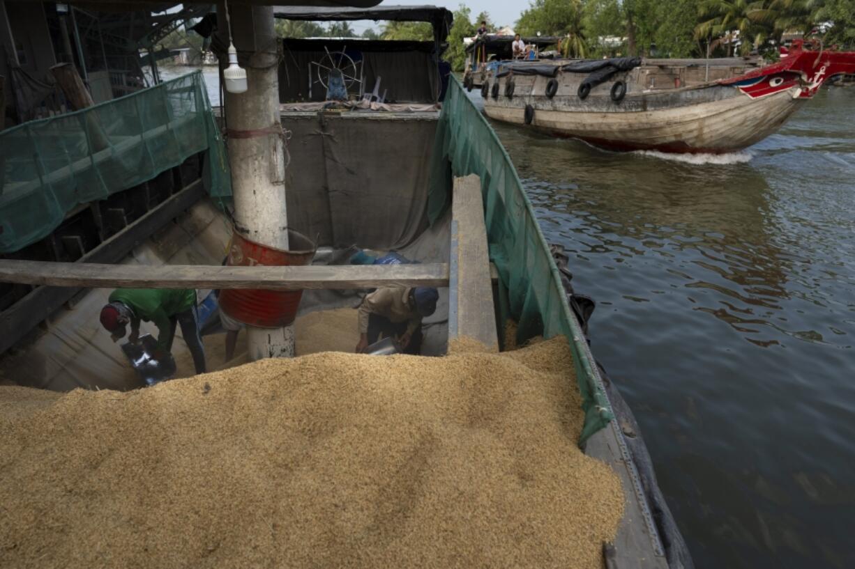 Workers scoop paddy rice into the mouth of a vacuum tube on a boat for processing at Hoang Minh Nhat, a rice export company in Can Tho, Vietnam, on Friday, Jan. 26, 2024. The Mekong Delta, where 90% of Vietnam&rsquo;s exported rice is farmed, is one of the world&rsquo;s regions most vulnerable to climate change. (AP Photo/Jae C.