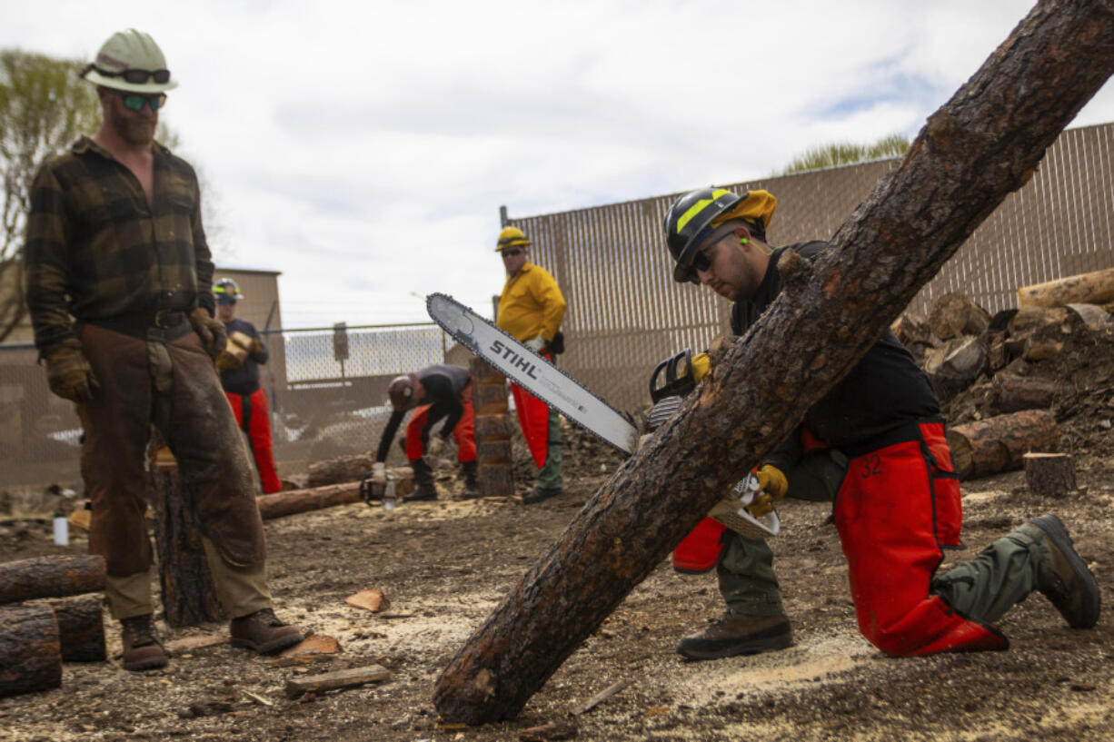 Aravaipa Hotshot Patrick O&rsquo;Donnell, left, instructs a Wildfire Academy student using a chainsaw, Monday, March 11, 2024, in Prescott, Ariz. Forecasters are warning that the potential for wildfires will be above normal in some areas across the United States over the coming months as temperatures rise and rain becomes sparse.