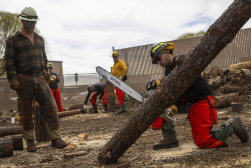 Aravaipa Hotshot Patrick O&rsquo;Donnell, left, instructs a Wildfire Academy student using a chainsaw, Monday, March 11, 2024, in Prescott, Ariz. Forecasters are warning that the potential for wildfires will be above normal in some areas across the United States over the coming months as temperatures rise and rain becomes sparse.