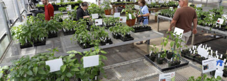 The Master Gardener Foundation of Clark County Mothers&rsquo; Day Plant Sale returns May 10-12.
