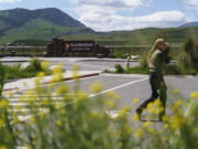FILE - A pedestrian walks past the entrance to Yellowstone National Park, June 15, 2022, in Gardiner, Mont. A man who kicked a bison in the leg was then hurt by one of the animals on April 21, 2024, in Yellowstone National Park, according to park officials. Park rangers arrested and jailed him after he was treated for minor injuries.