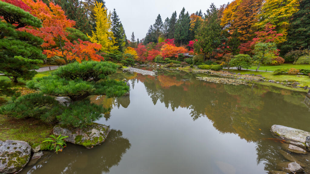 Seattle Japanese Garden (iStock.com)