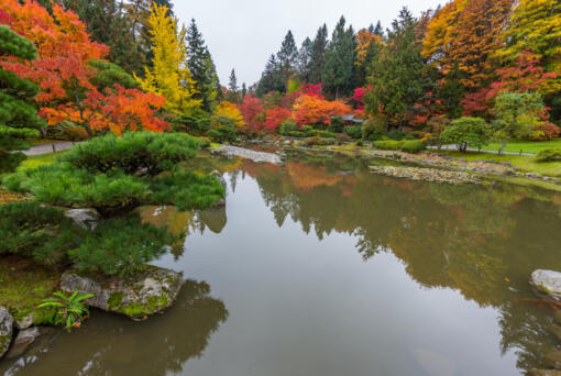 Seattle Japanese Garden (iStock.com)