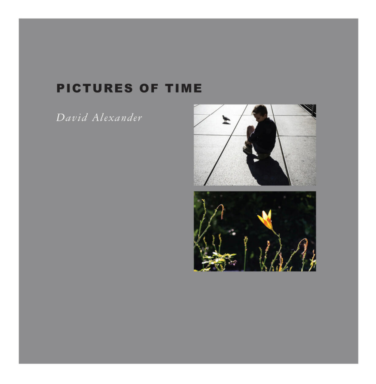 &ldquo;Pictures of Time,&rdquo; by David Alexander.