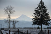 Views of Mount Hood, seen here in January during the ice storm, were at issue in a court case over Home Owner Association covenants.