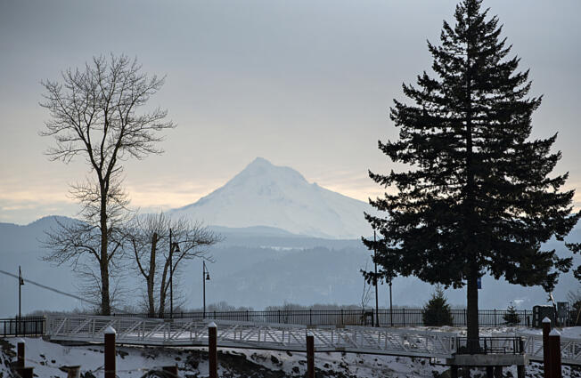 Views of Mount Hood, seen here in January during the ice storm, were at issue in a court case over Home Owner Association covenants.