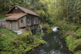 The Cedar Creek Grist Mill is sprouting rot and in need of repair.